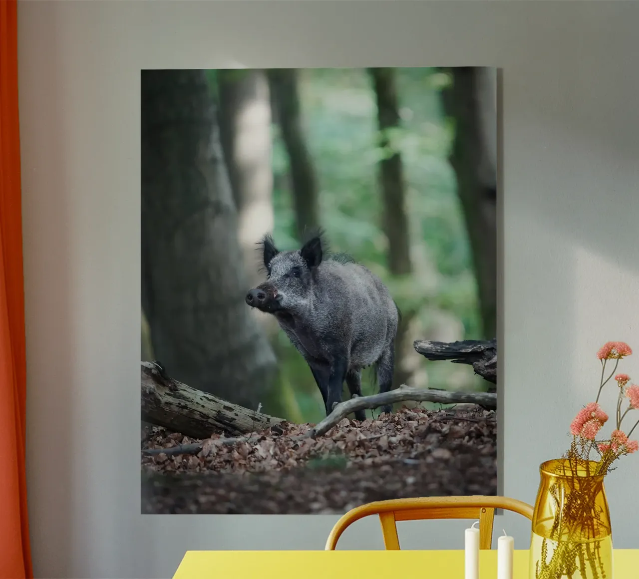 Wild Boar acrylic glass by Tom's Wildlife