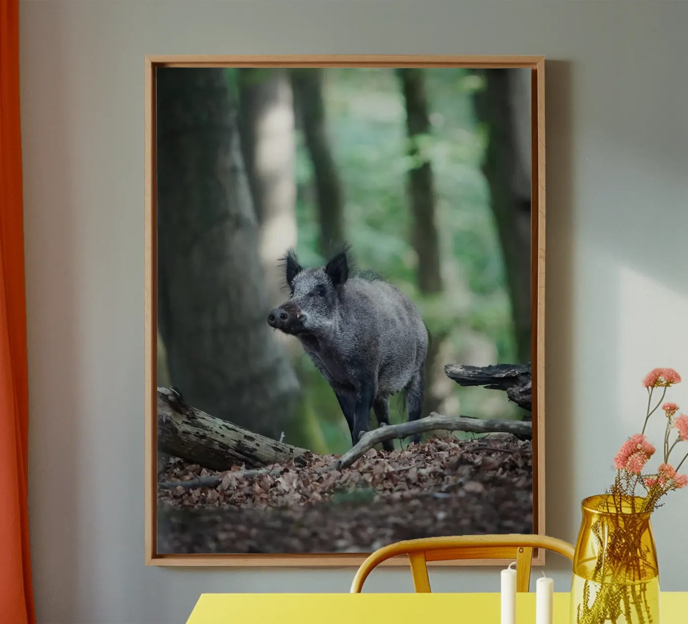 Cinghiale tela da Tom's Wildlife