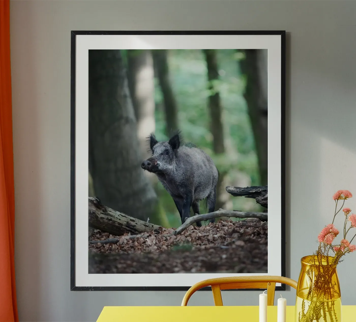 Wild Boar poster van Tom's Wildlife