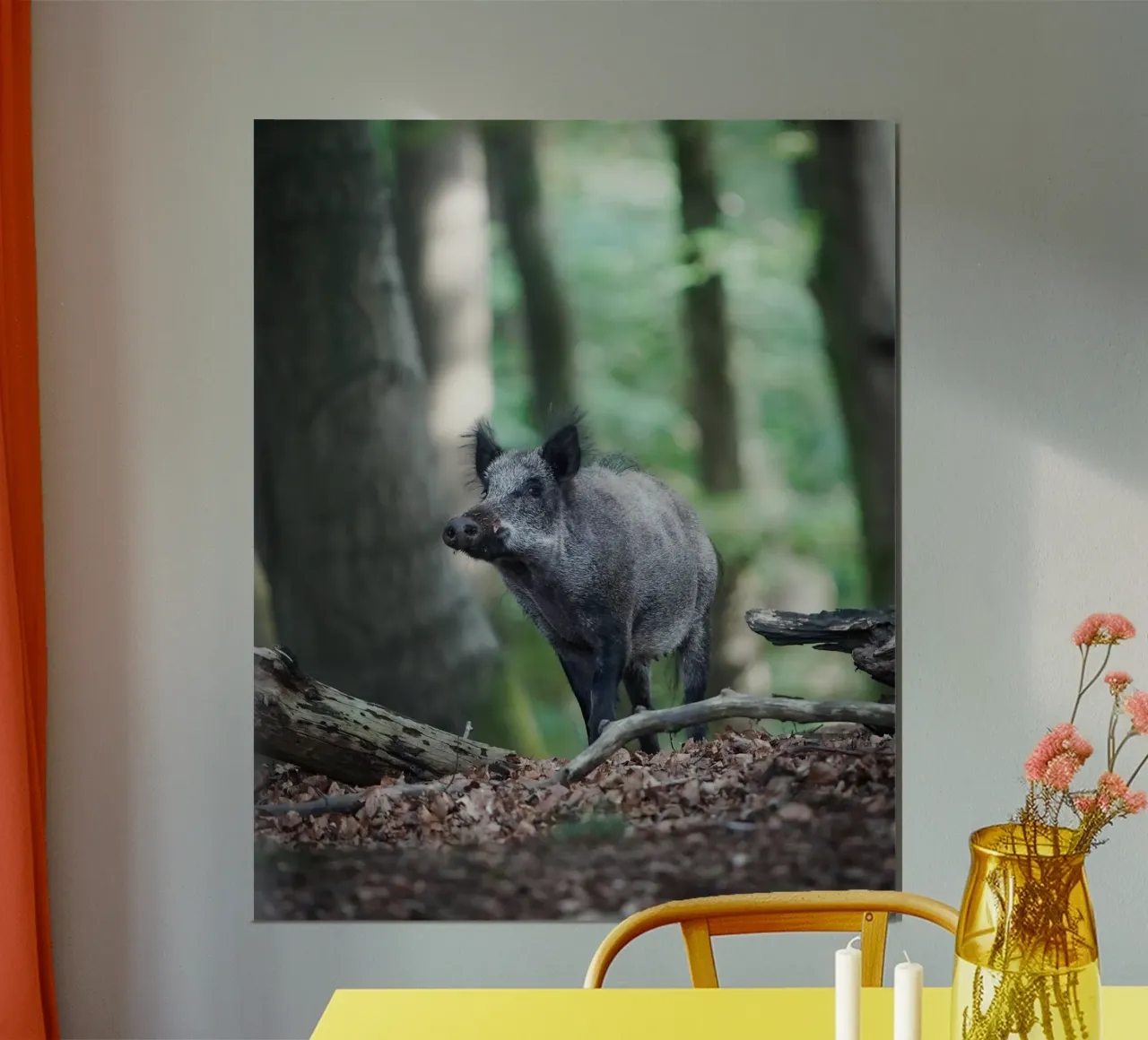 Cinghiale carta hahnemühle da Tom's Wildlife