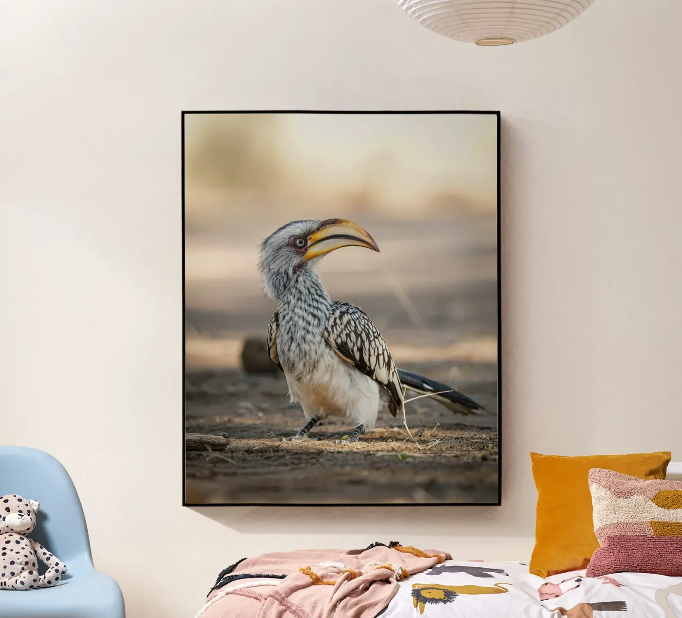 Toktok plexiglass da Tom's Wildlife