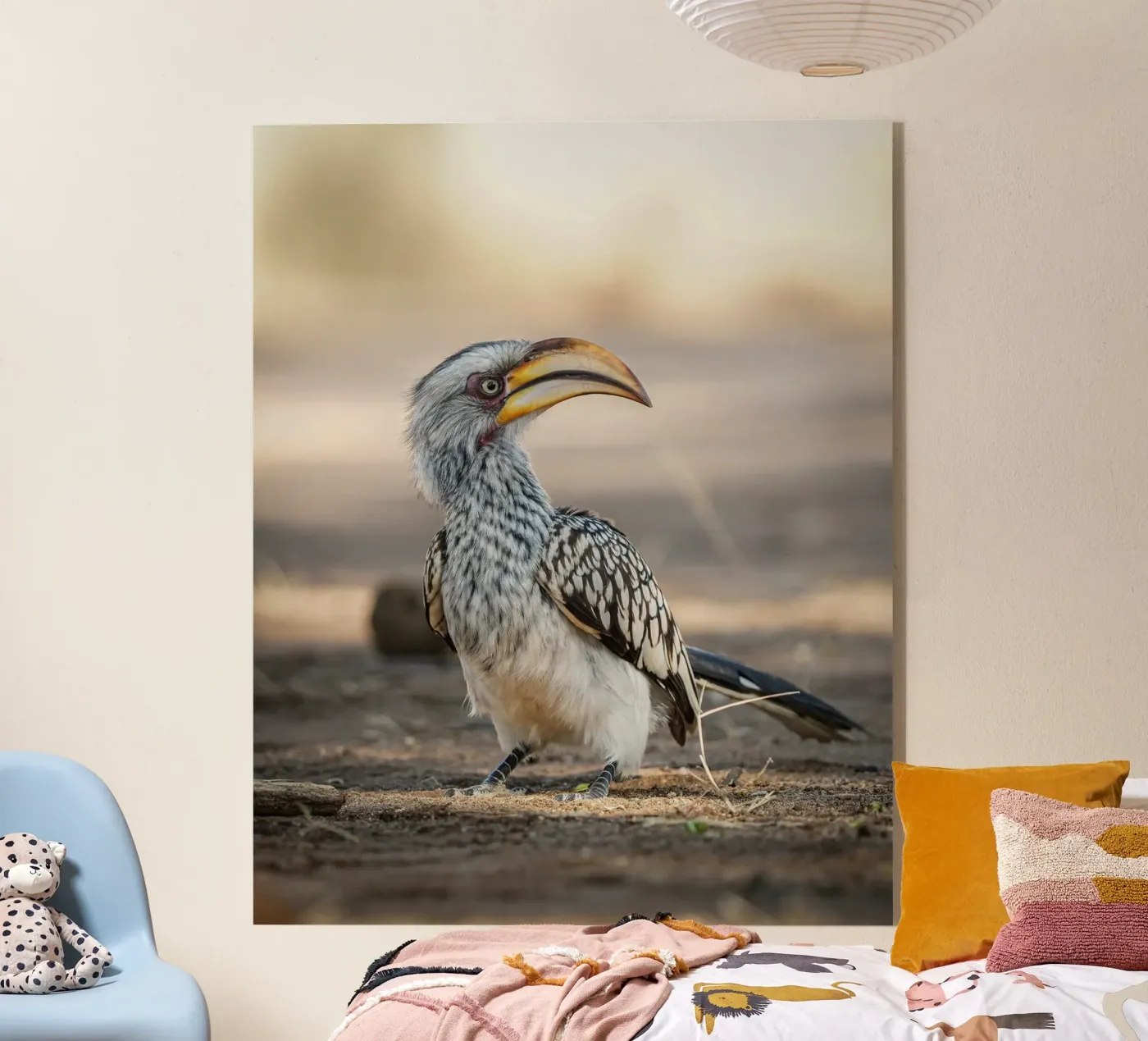 Toktok plexiglass da Tom's Wildlife