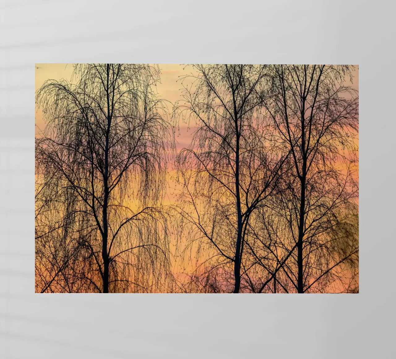 sky dusk twilight pellicola backlit da Histrol