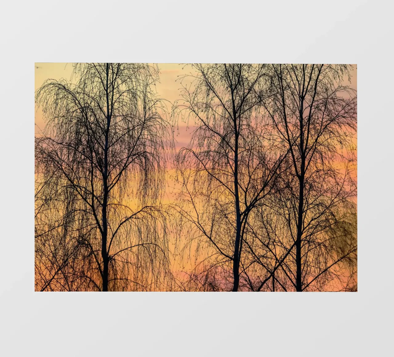 sky dusk twilight pellicola backlit da Histrol