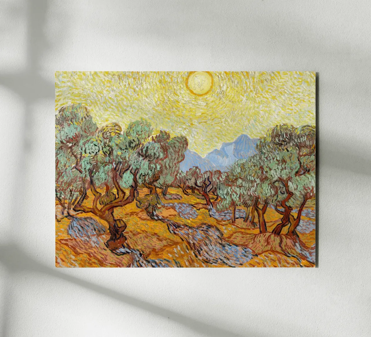 Alberi di ulivo con cielo e sole giallo - Vincent van Gogh alluminio dibond da Sylviepaint