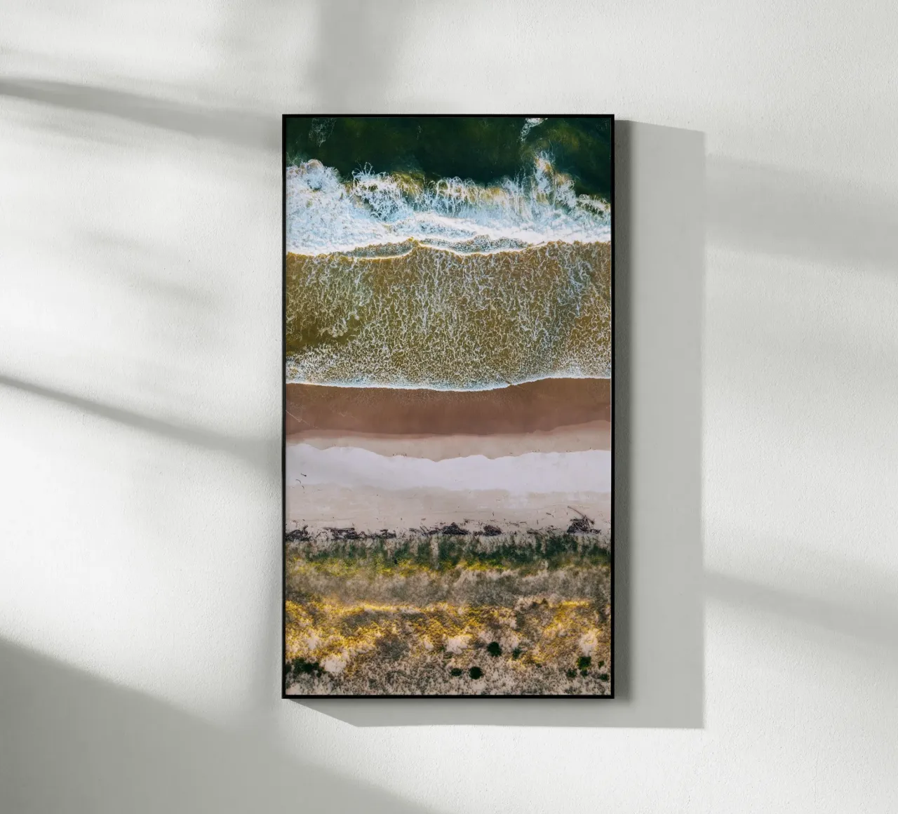 coastline surf plexiglass da prindy