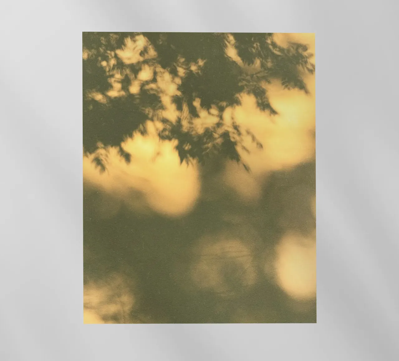 blurred vegetation pellicola backlit da twillight