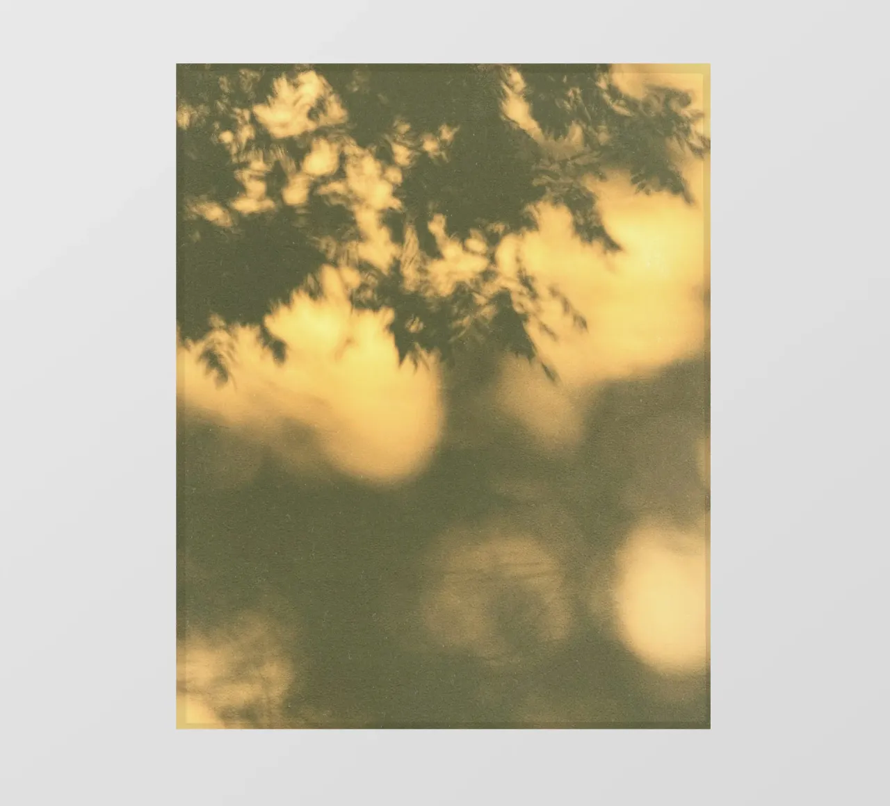 blurred vegetation telo in pvc da twillight