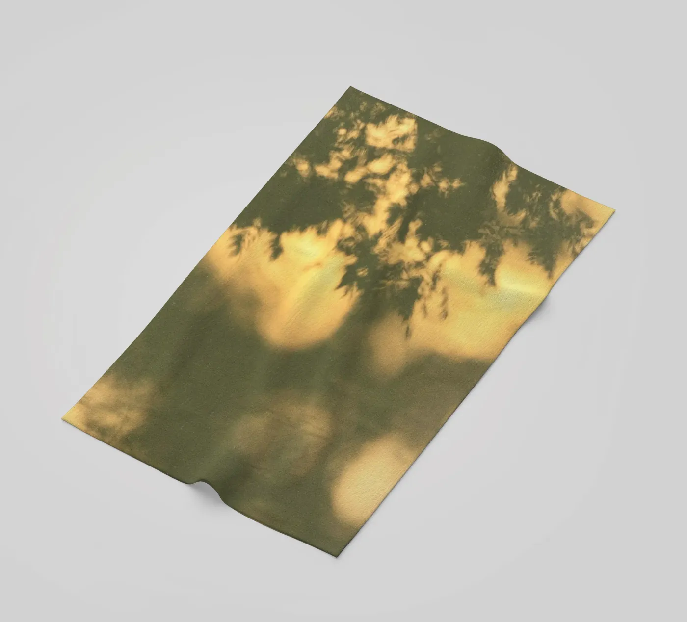 blurred vegetation telo mare da twillight