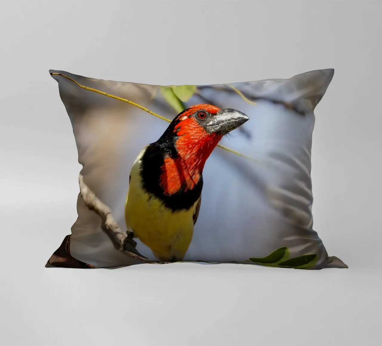 Barbetto nero colorato cuscino da Tom's Wildlife