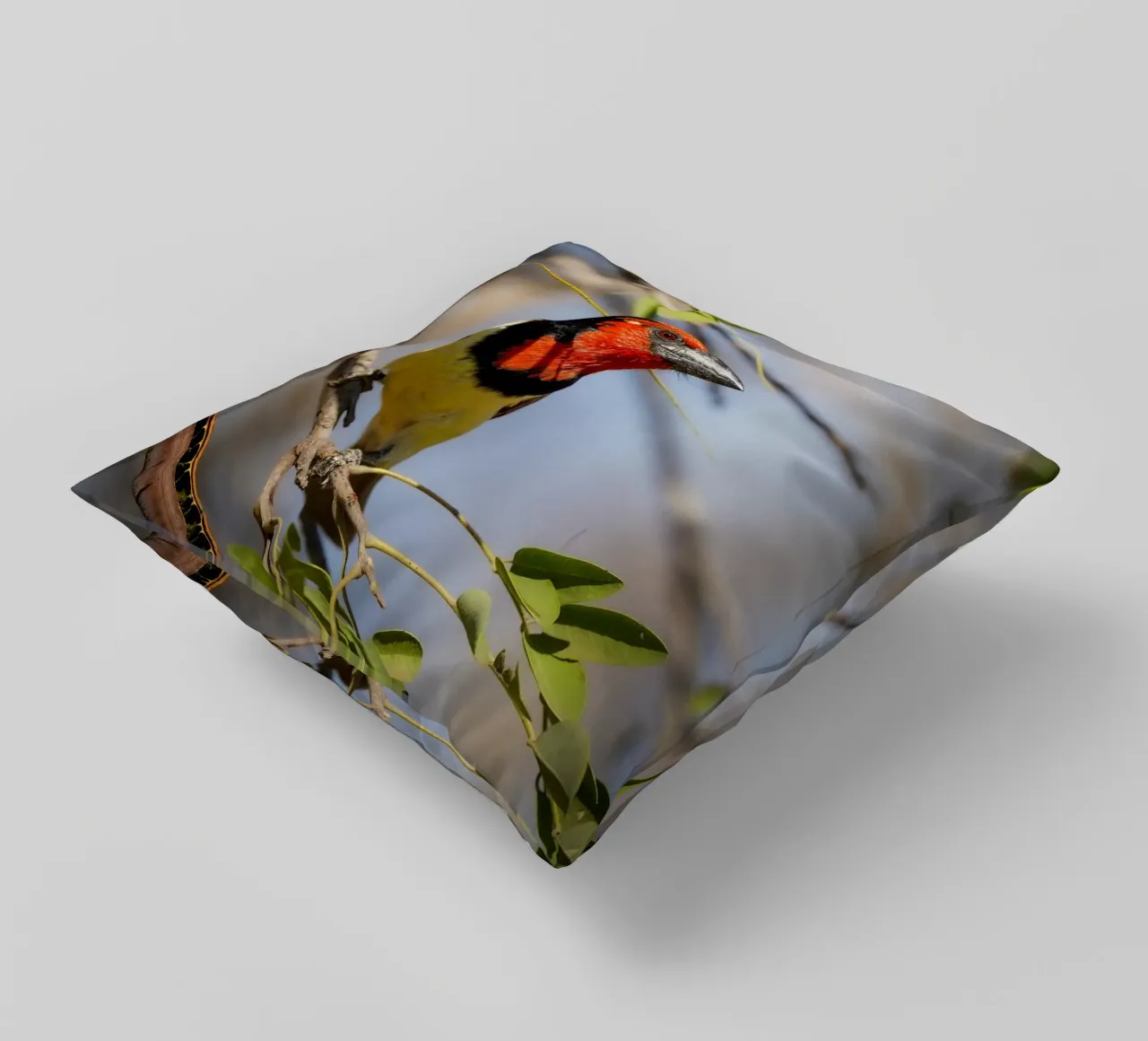 Barbetto nero colorato cuscino da Tom's Wildlife