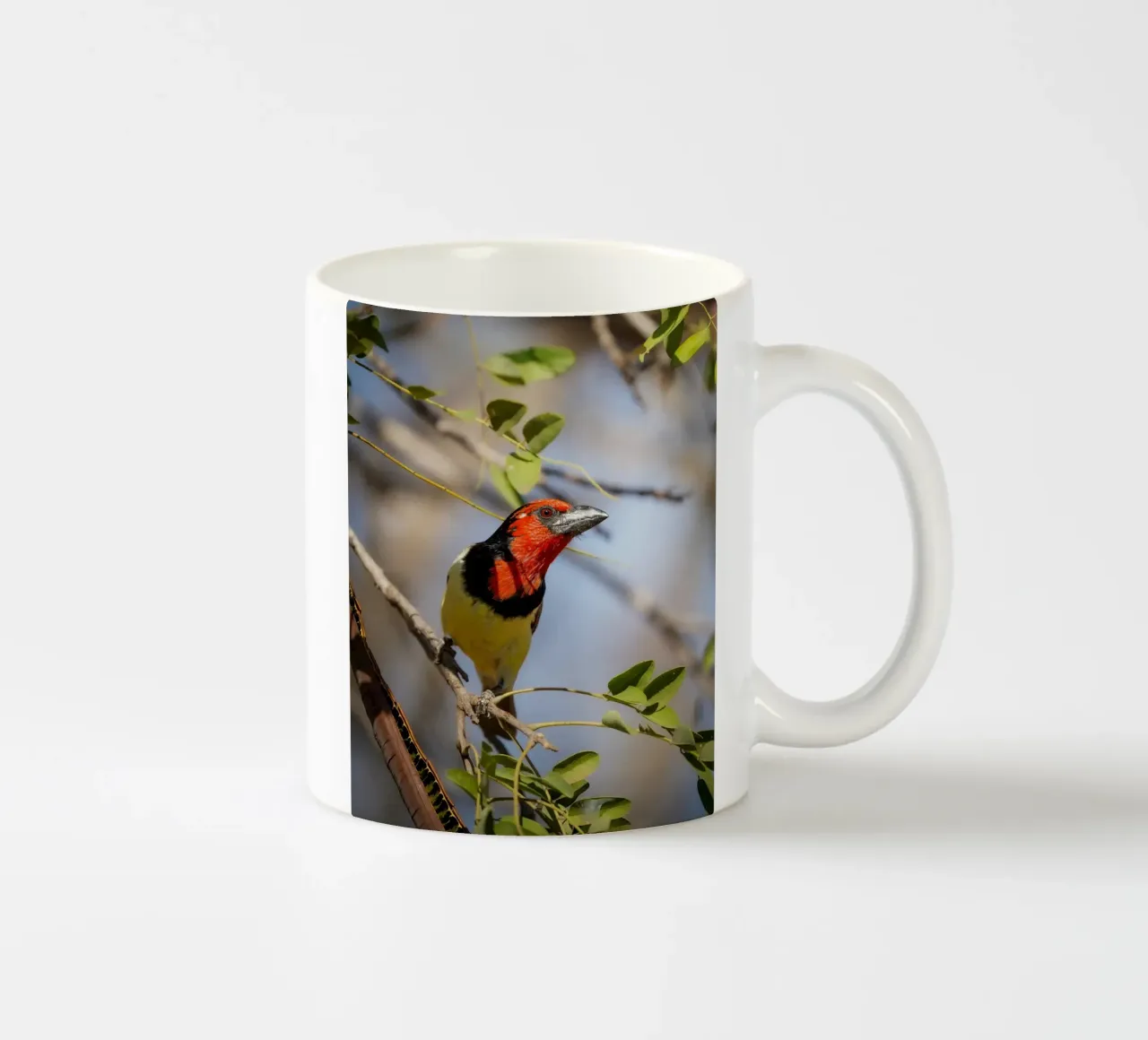 Barbetto nero colorato tazza in ceramica da Tom's Wildlife