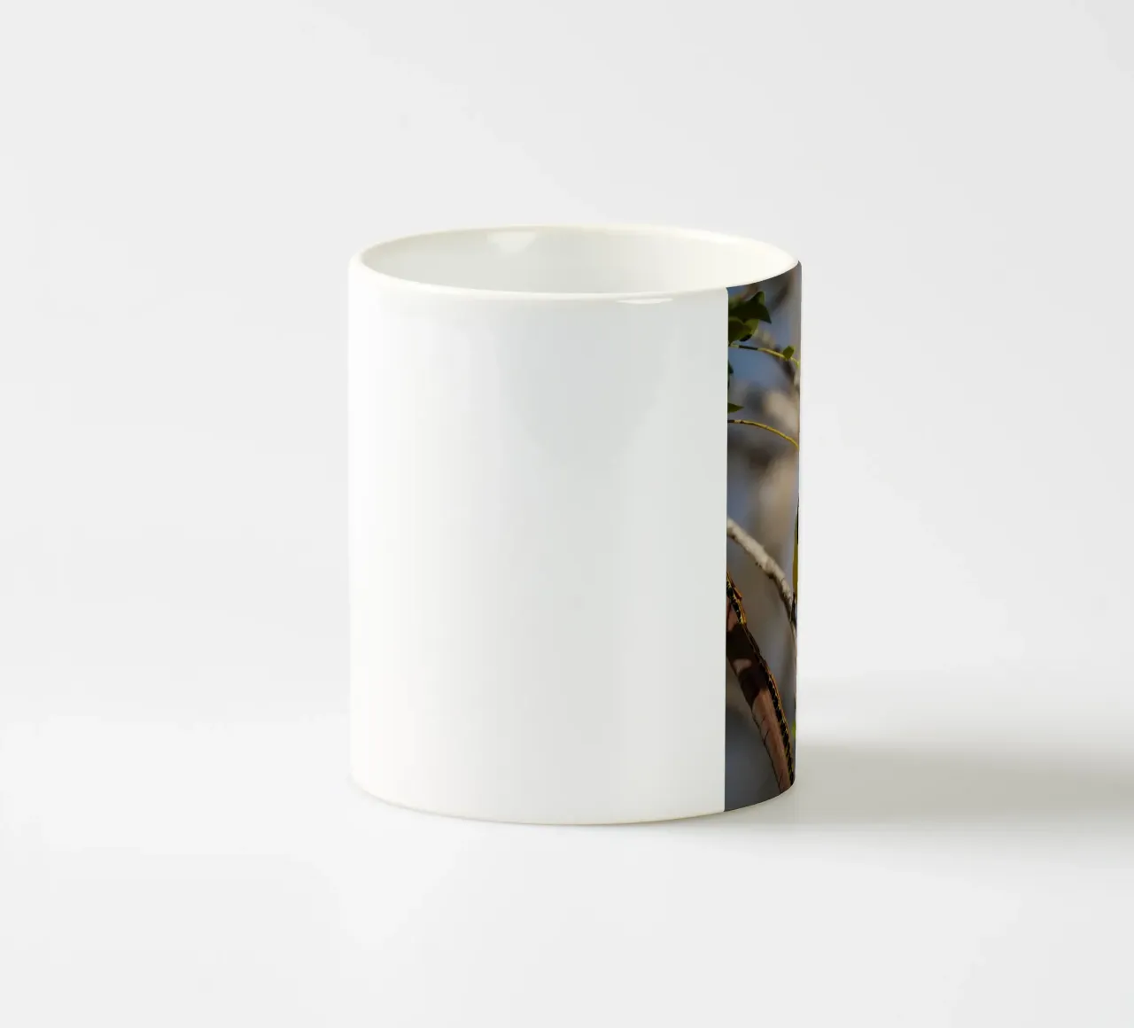 Barbetto nero colorato tazza in ceramica da Tom's Wildlife