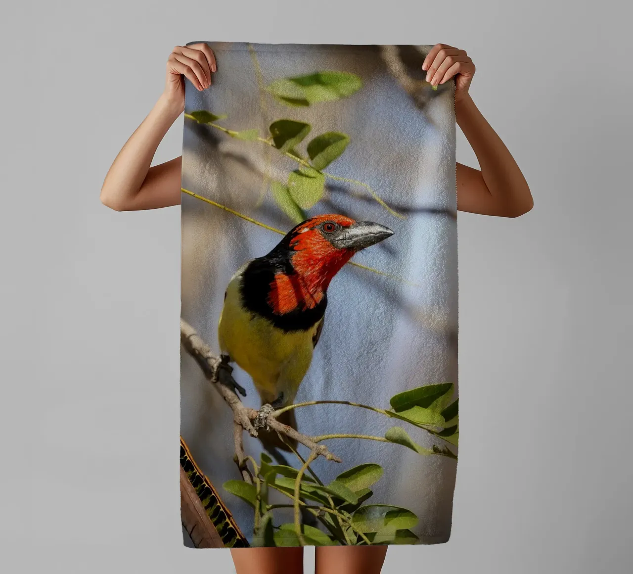Barbetto nero colorato asciugamano da bagno da Tom's Wildlife