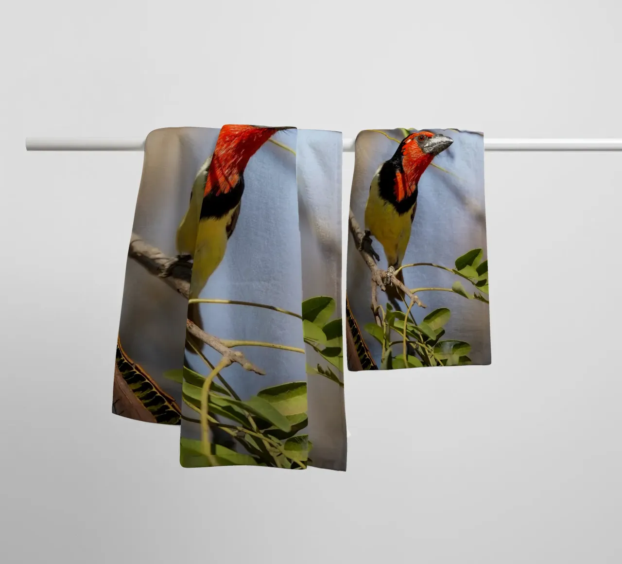 Barbetto nero colorato asciugamano da bagno da Tom's Wildlife