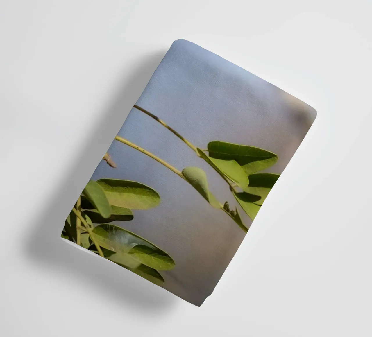 Barbetto nero colorato asciugamano da bagno da Tom's Wildlife