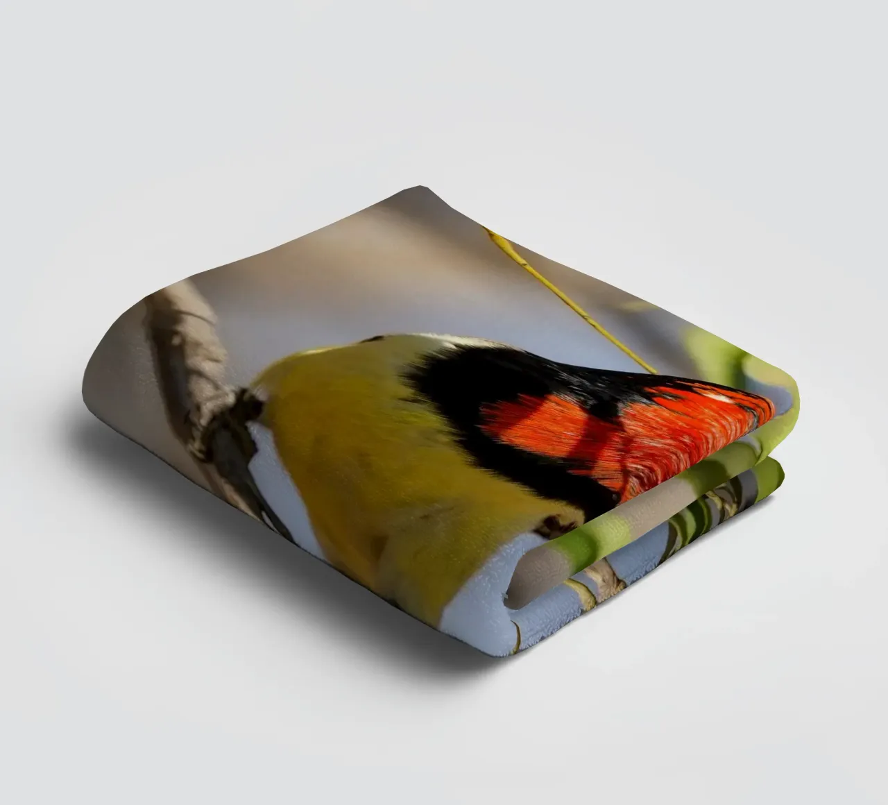 Barbetto nero colorato asciugamano da bagno da Tom's Wildlife