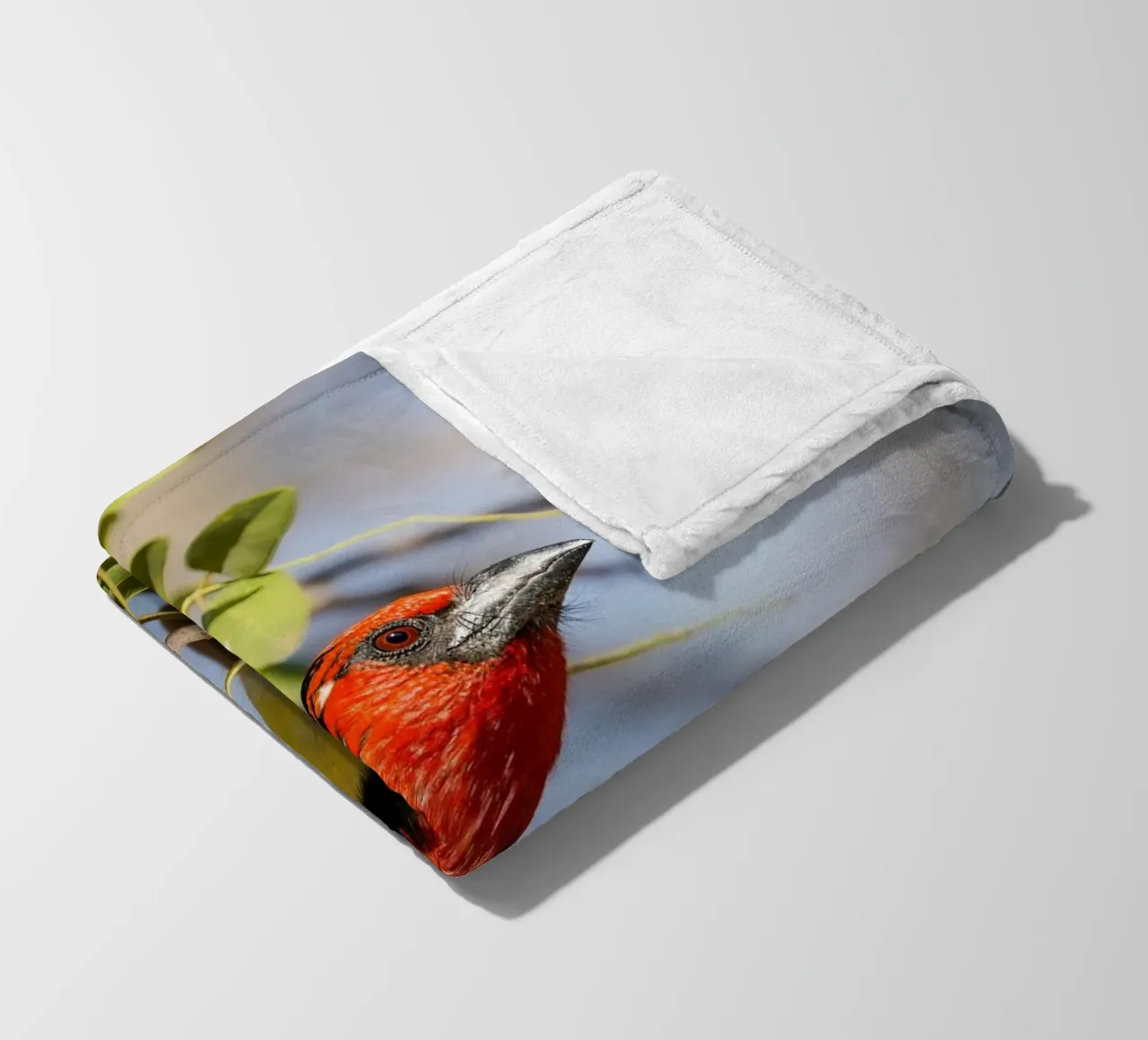 Barbetto nero colorato coperta in pile da Tom's Wildlife