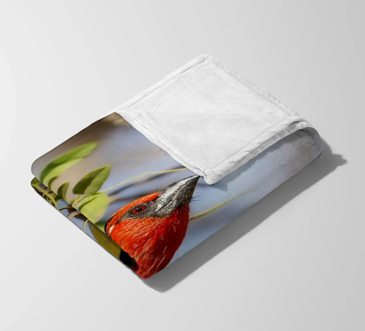 Barbetto nero colorato coperta in pile da Tom's Wildlife