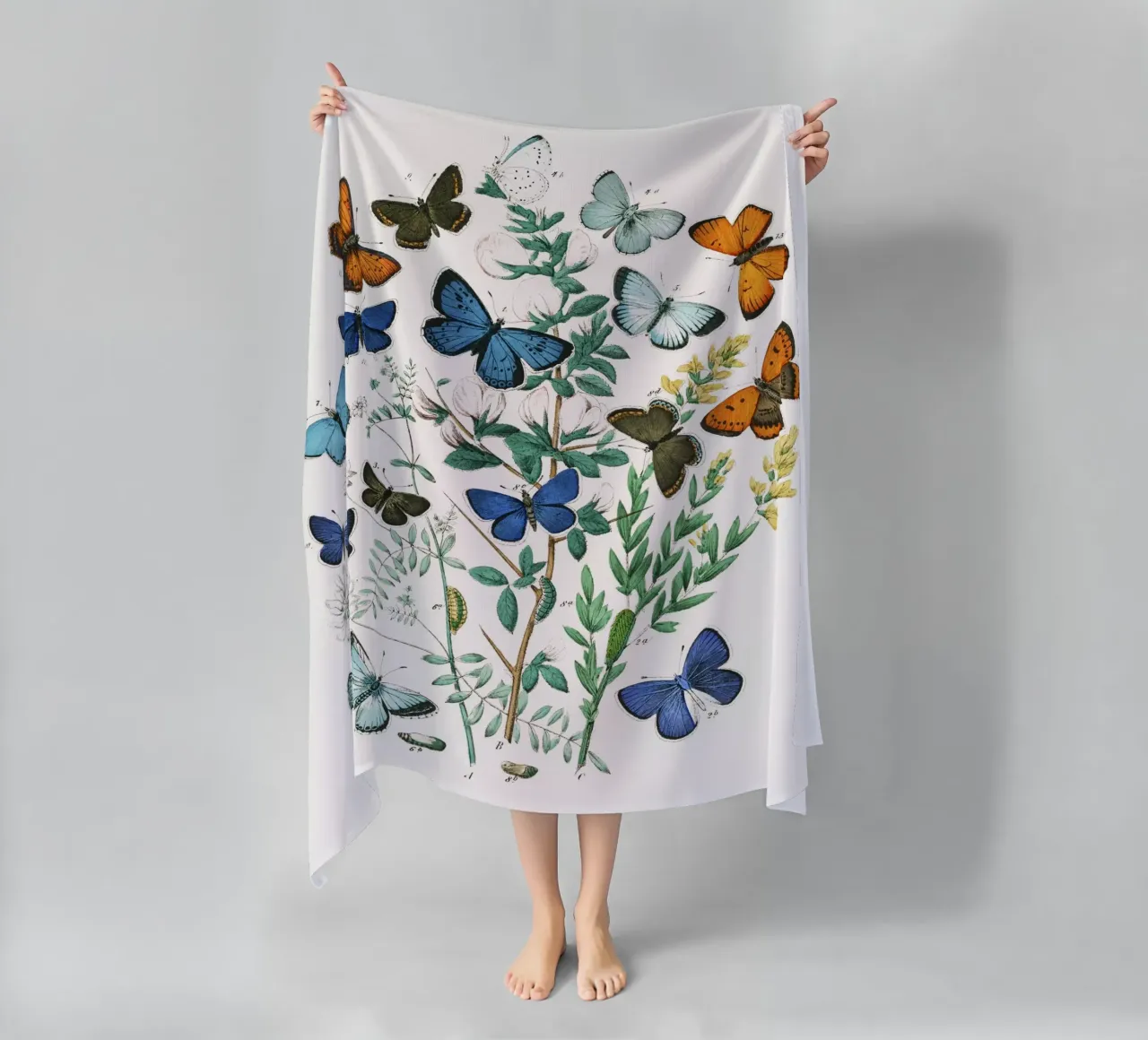 European Butterflies and Moths by William Forsell Kirby beach towel by Venus Art