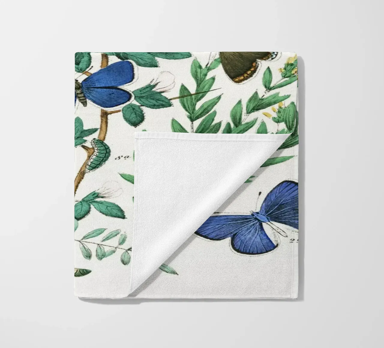 European Butterflies and Moths by William Forsell Kirby beach towel by Venus Art