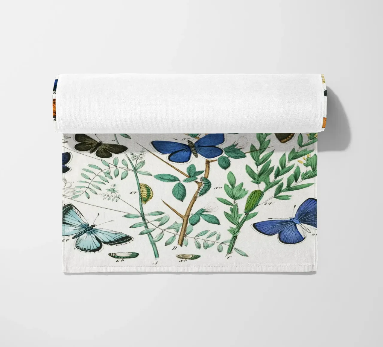 European Butterflies and Moths by William Forsell Kirby beach towel by Venus Art
