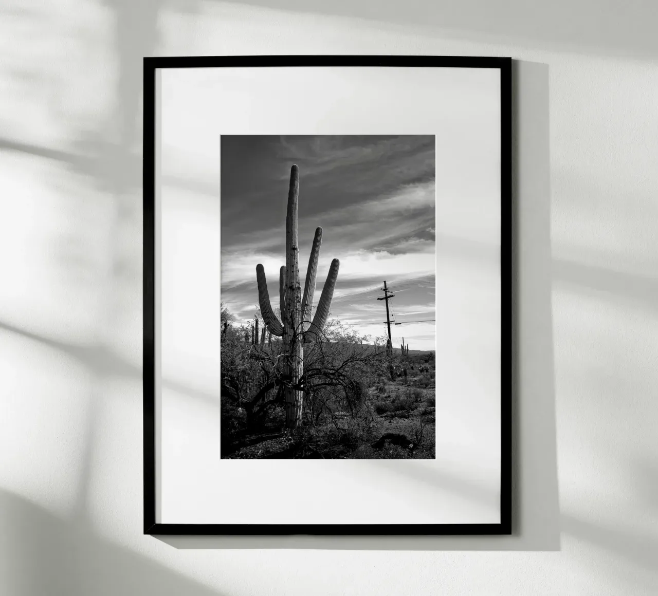 Cactus saguaro dans le désert - Photographie en noir et blanc poster de Finch & Frames