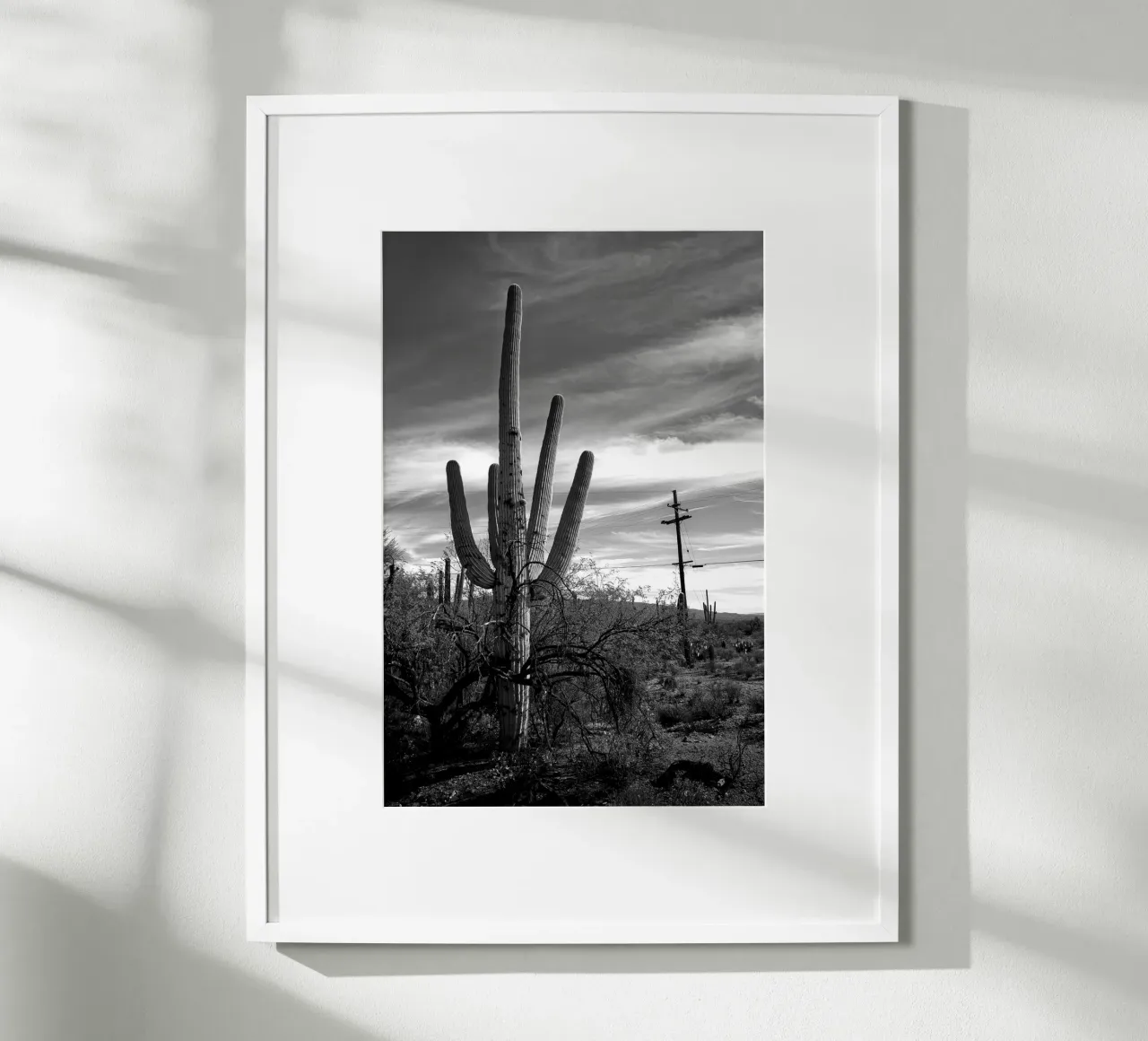 Cactus saguaro dans le désert - Photographie en noir et blanc poster de Finch & Frames