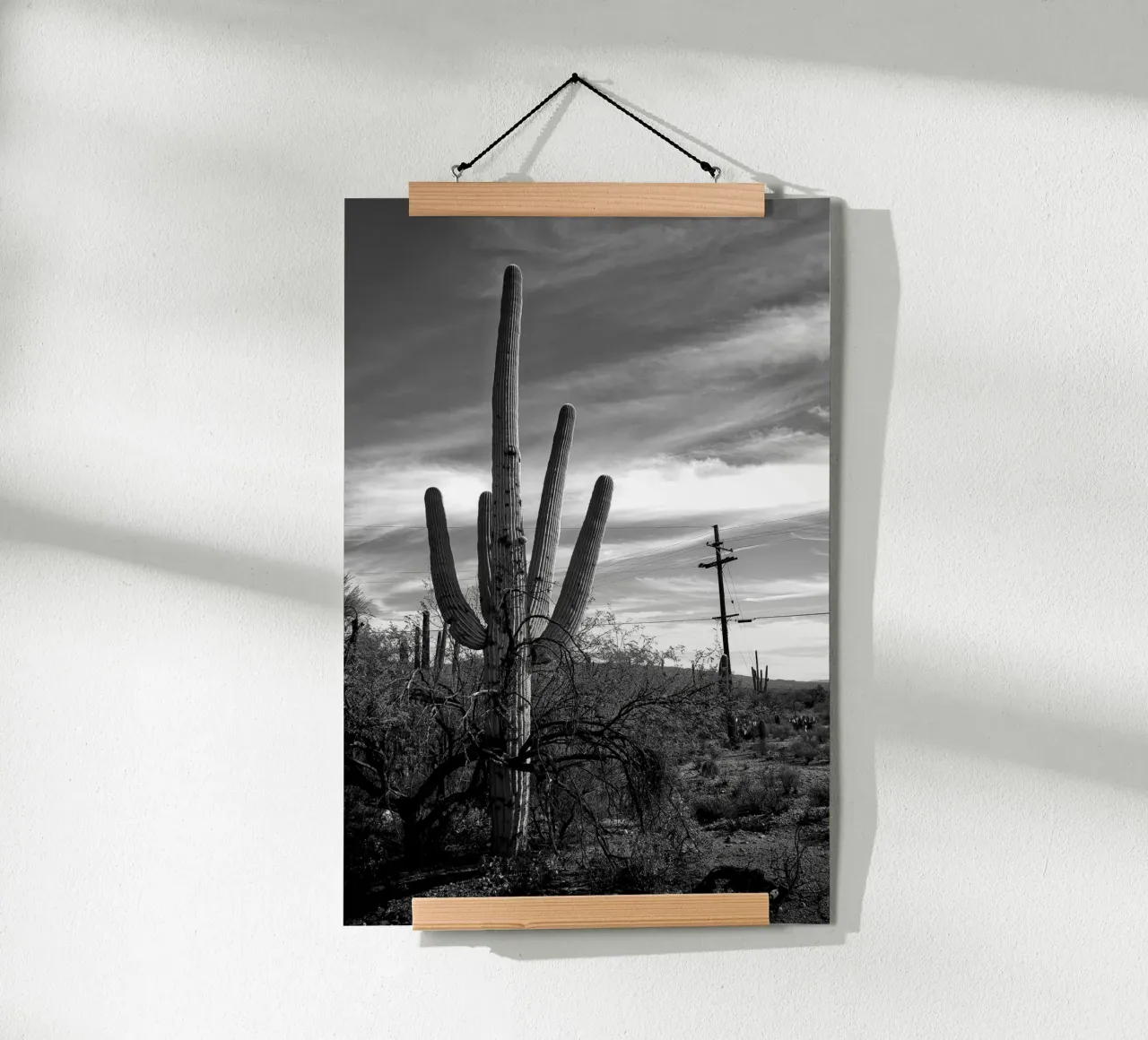 Cactus saguaro dans le désert - Photographie en noir et blanc poster de Finch & Frames