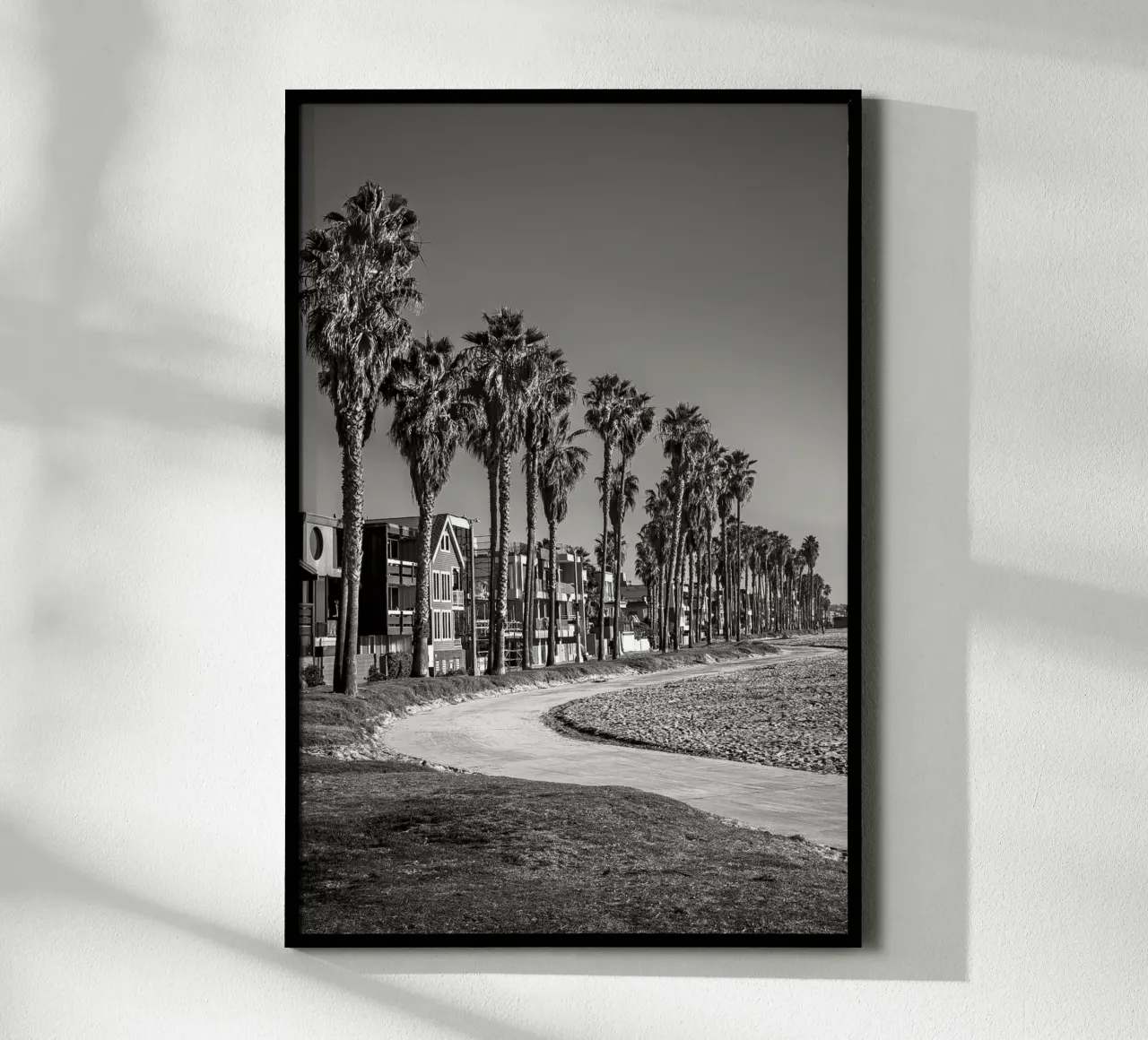Lungomare di Venice Beach con palme in bianco e nero poster con telaio in plastica da Finch & Frames