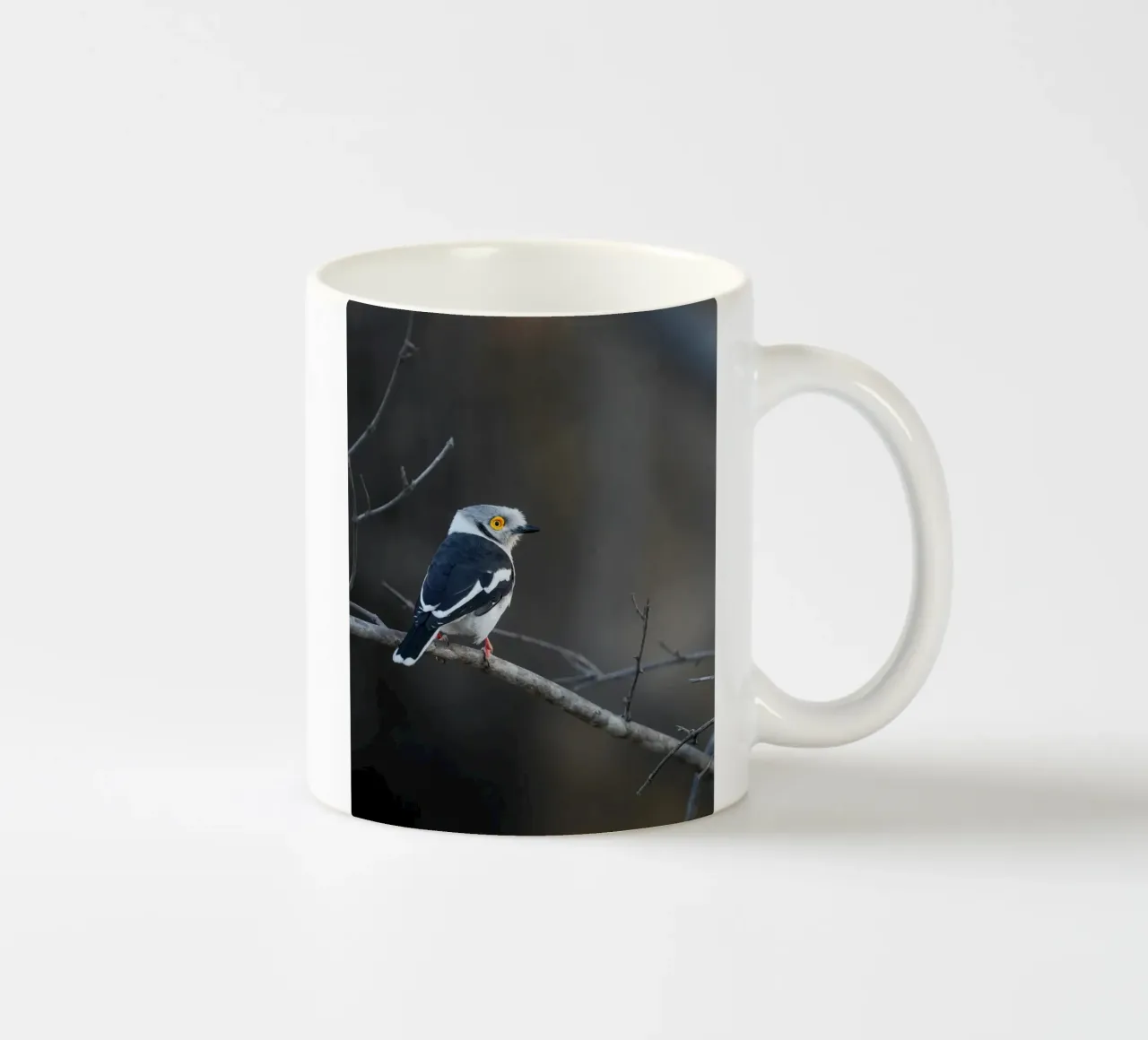 Averla bianca tazza in ceramica da Tom's Wildlife