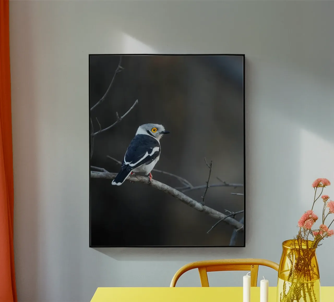 Averla bianca plexiglass da Tom's Wildlife