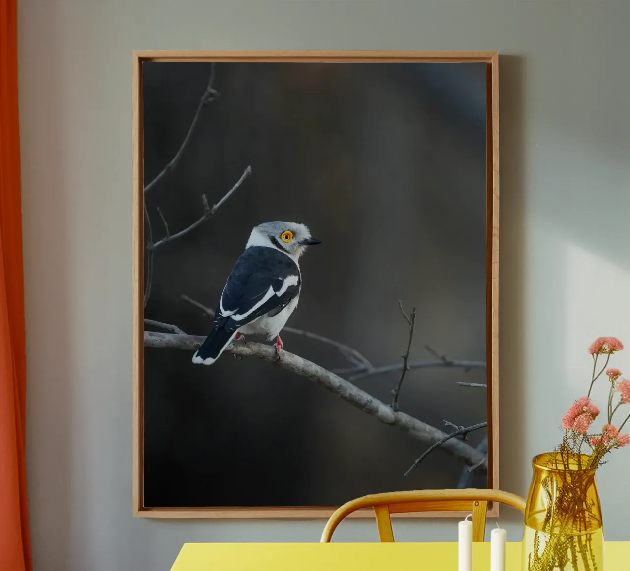 Averla bianca tela con Cornice a cassetta da Tom's Wildlife