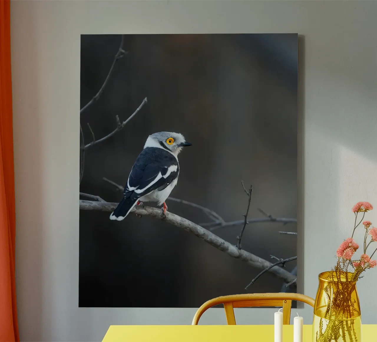 Averla bianca tela con Cornice a cassetta da Tom's Wildlife