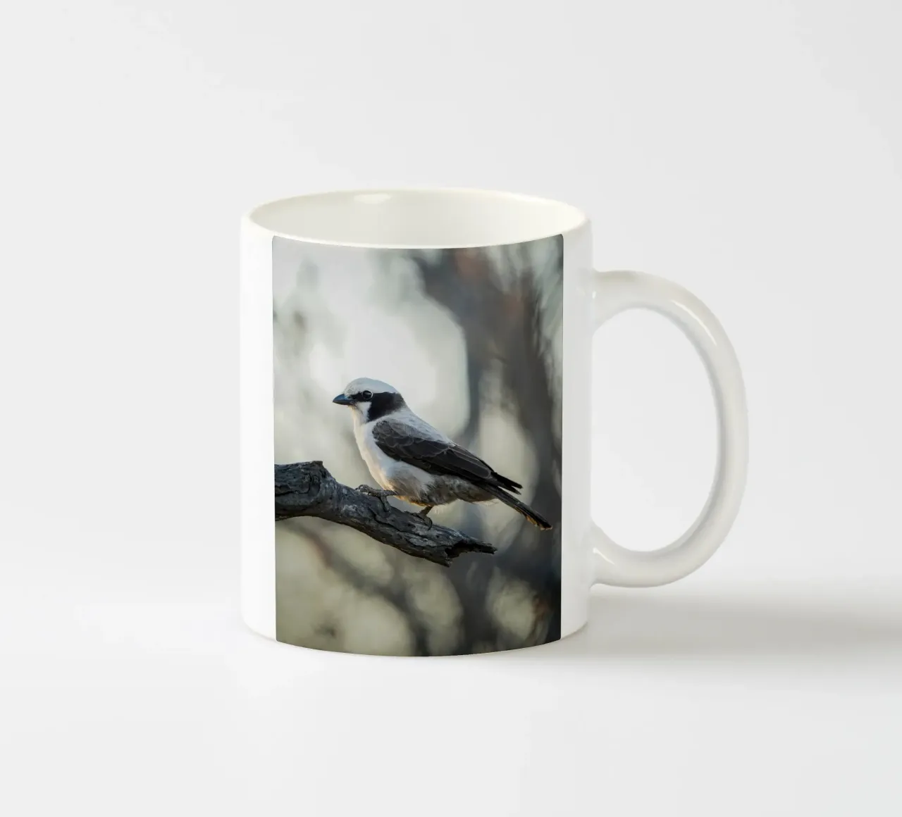 Averla bianca tazza in ceramica da Tom's Wildlife
