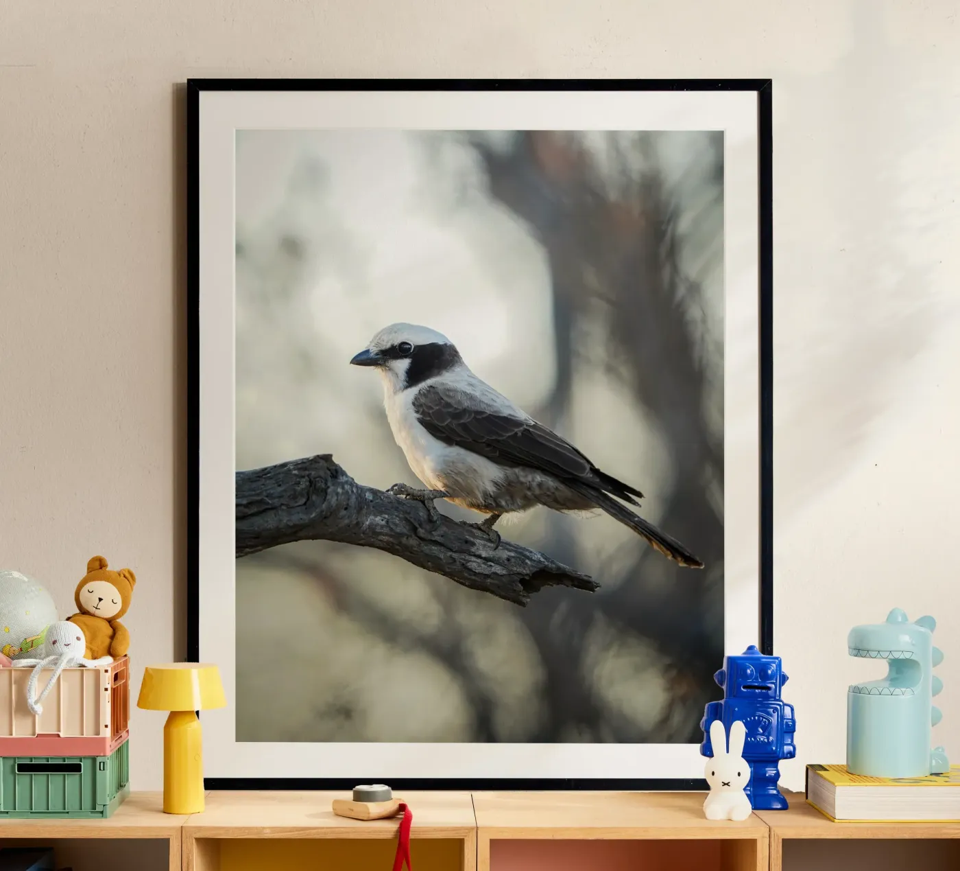 white-crowned shrike poster da Tom's Wildlife