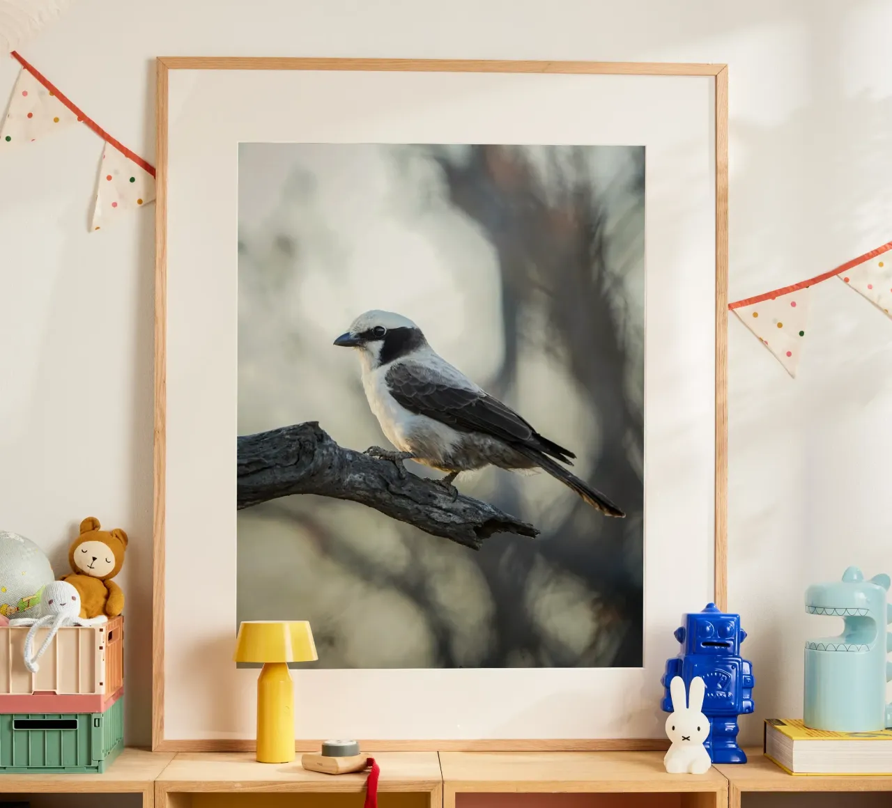 white-crowned shrike poster da Tom's Wildlife