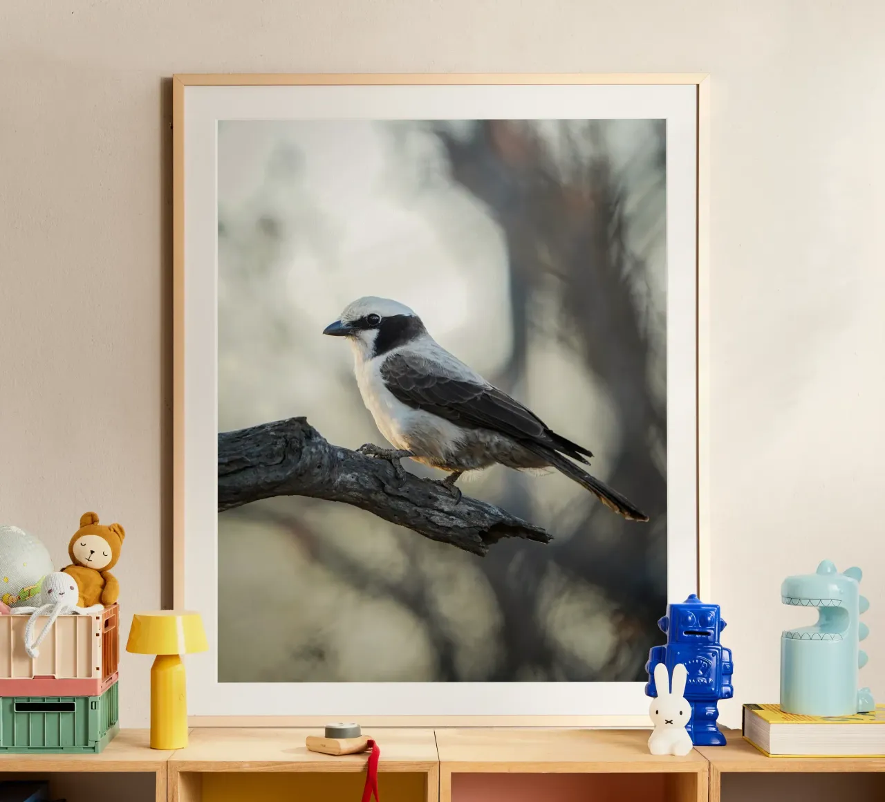 white-crowned shrike poster da Tom's Wildlife