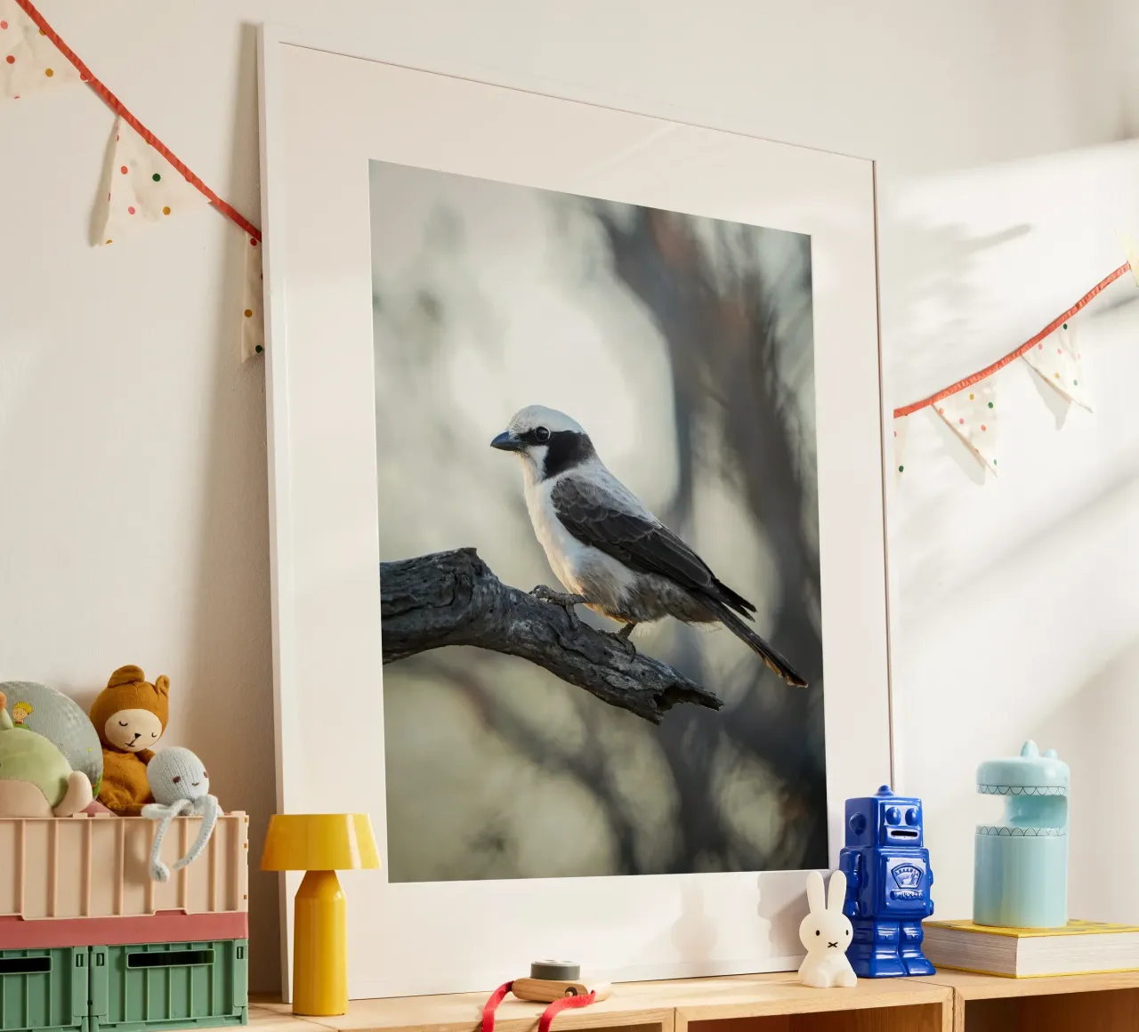 white-crowned shrike poster da Tom's Wildlife