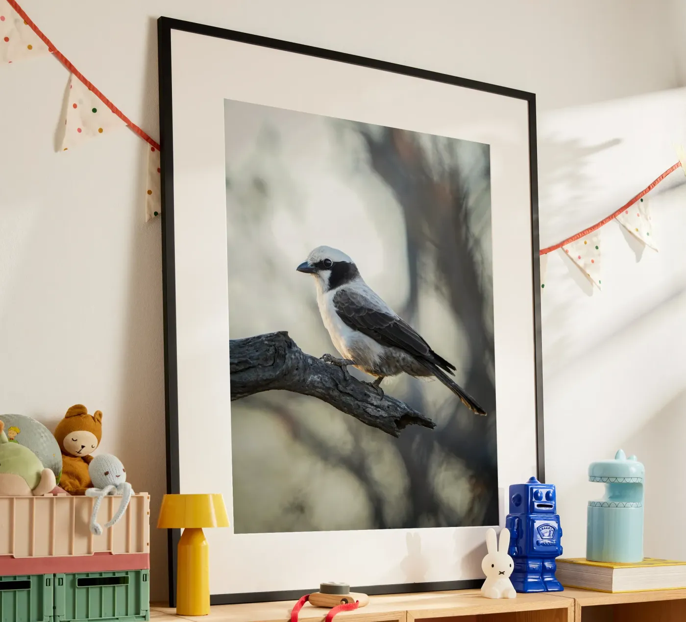 white-crowned shrike poster da Tom's Wildlife