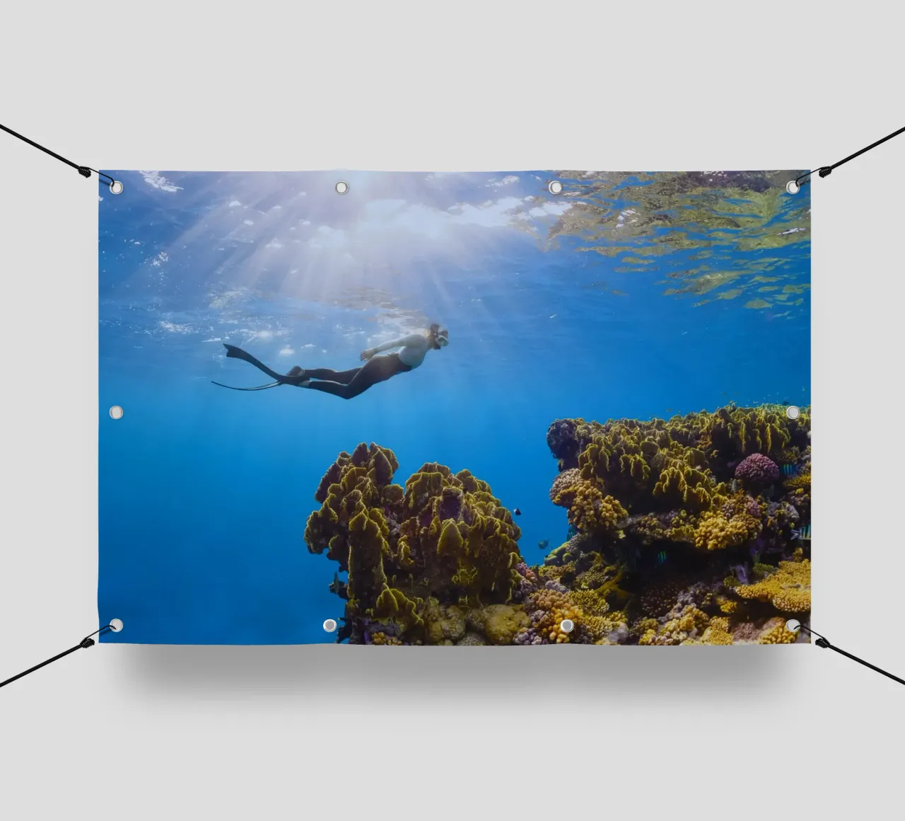 subacqueo sott'acqua telo in pvc da Earthly Visions