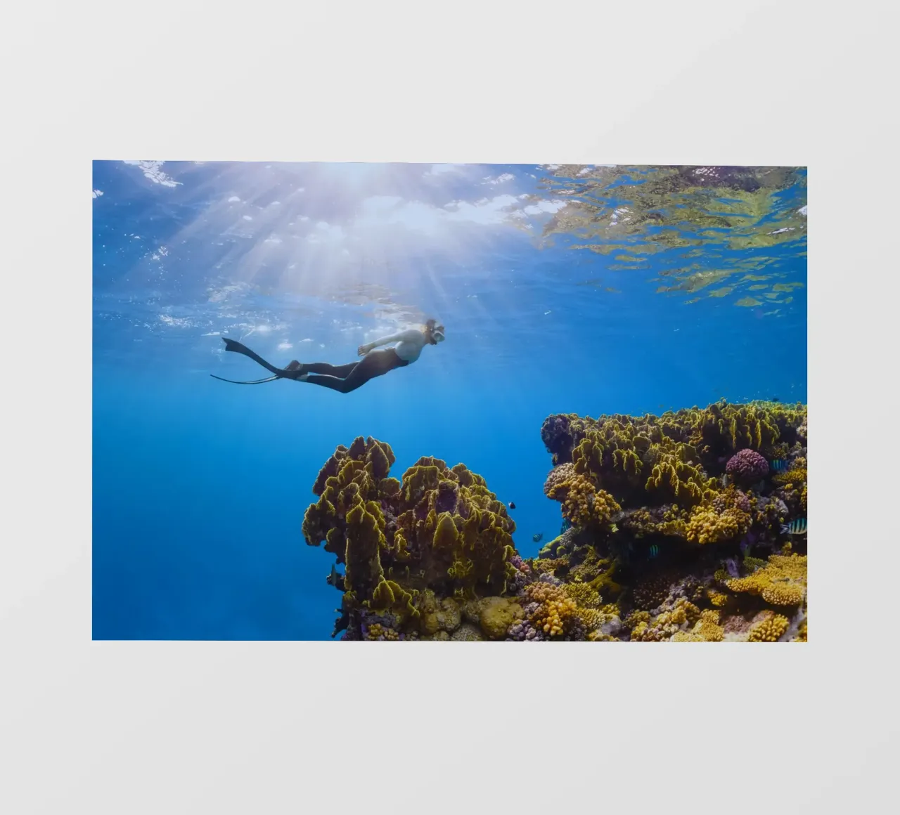 subacqueo sott'acqua telo in pvc da Earthly Visions
