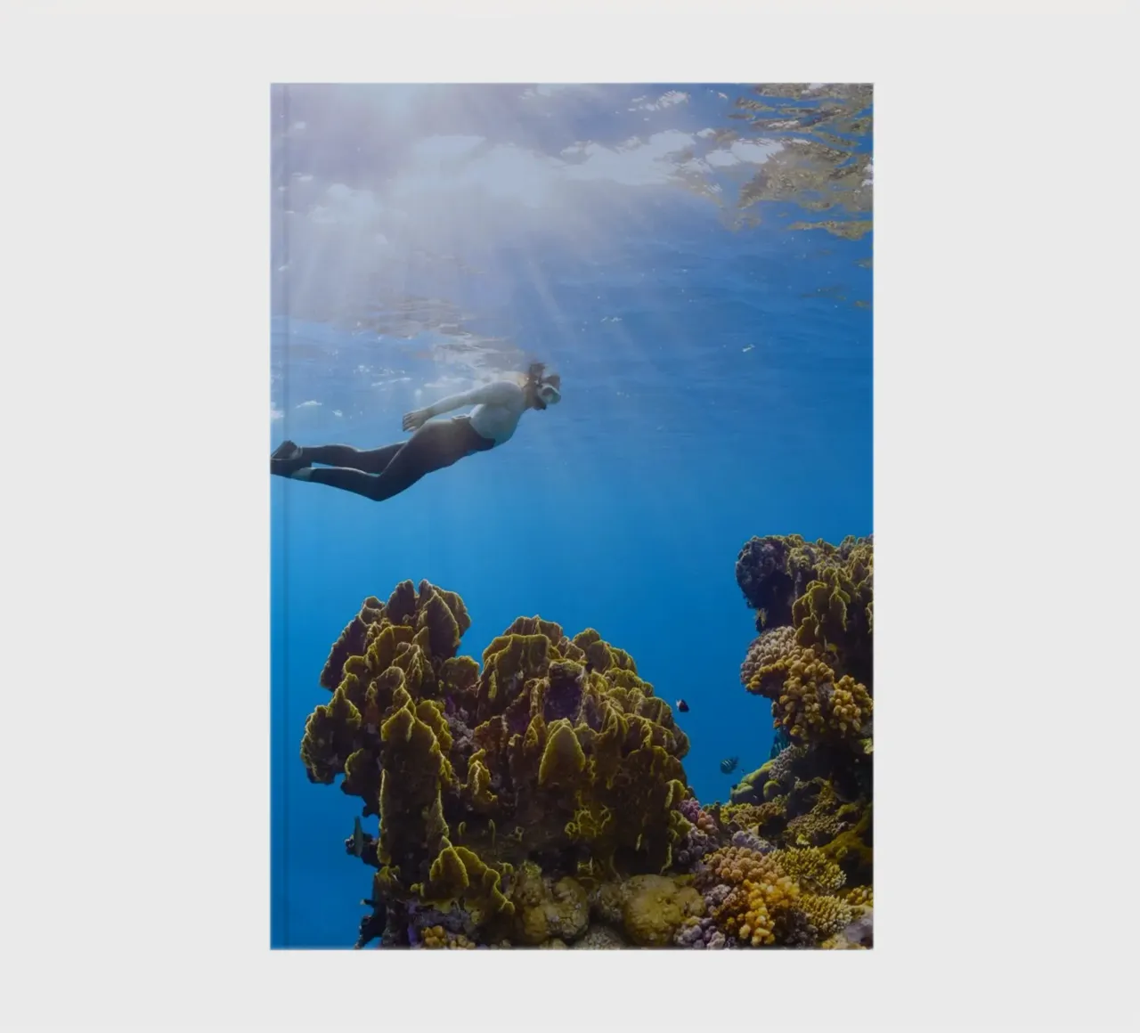 scuba diver underwater notebook by Earthly Visions