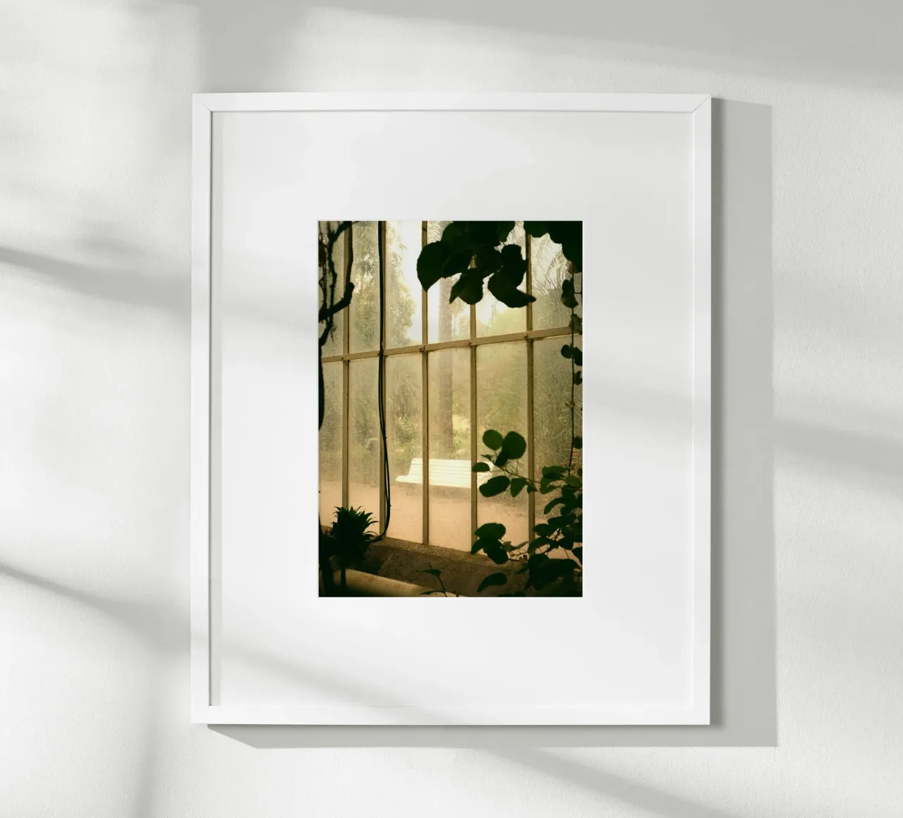 banco per serre carta hahnemühle da Earthly Visions