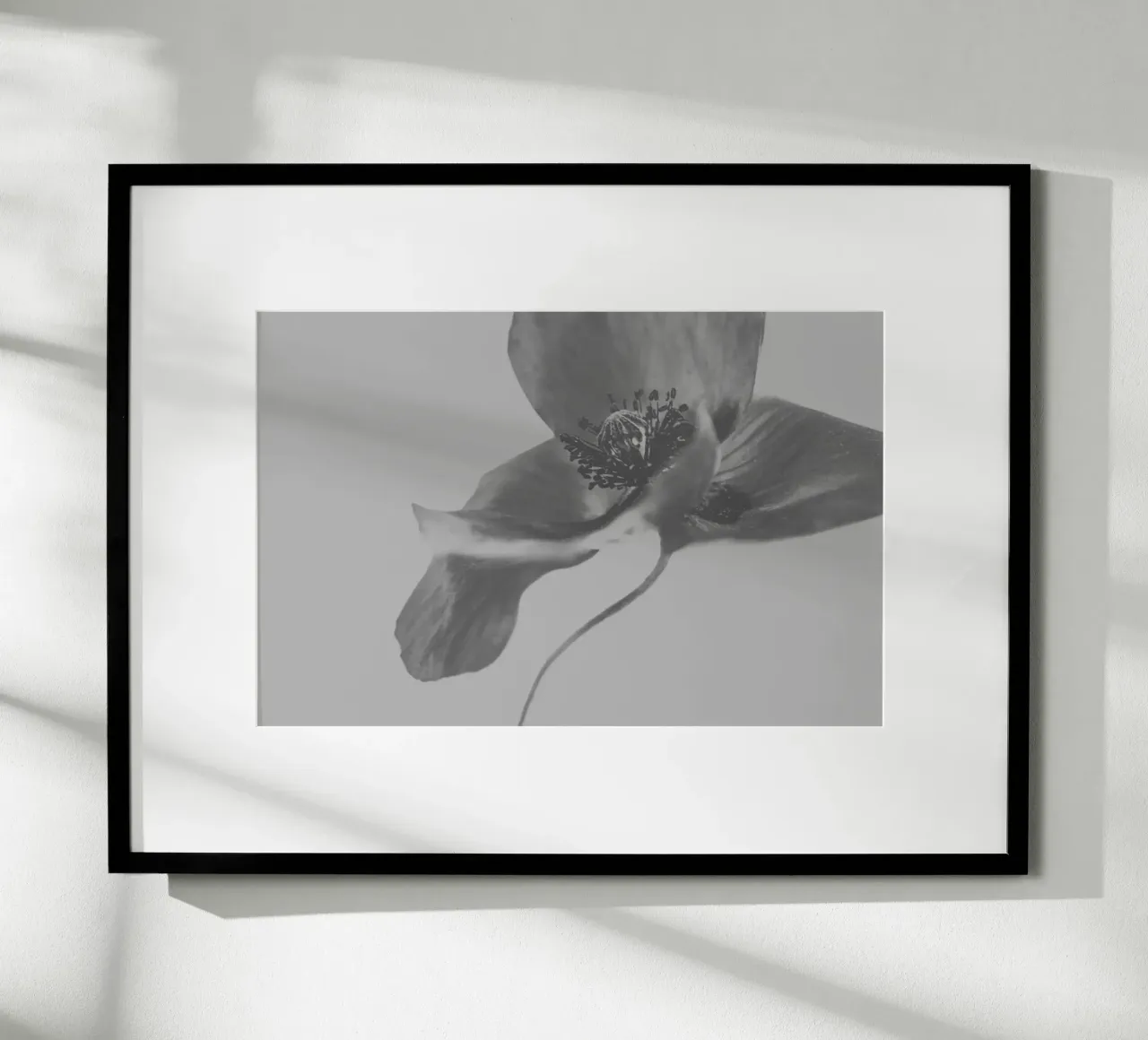 Fiori tenui poster da PhotoVibe Decor