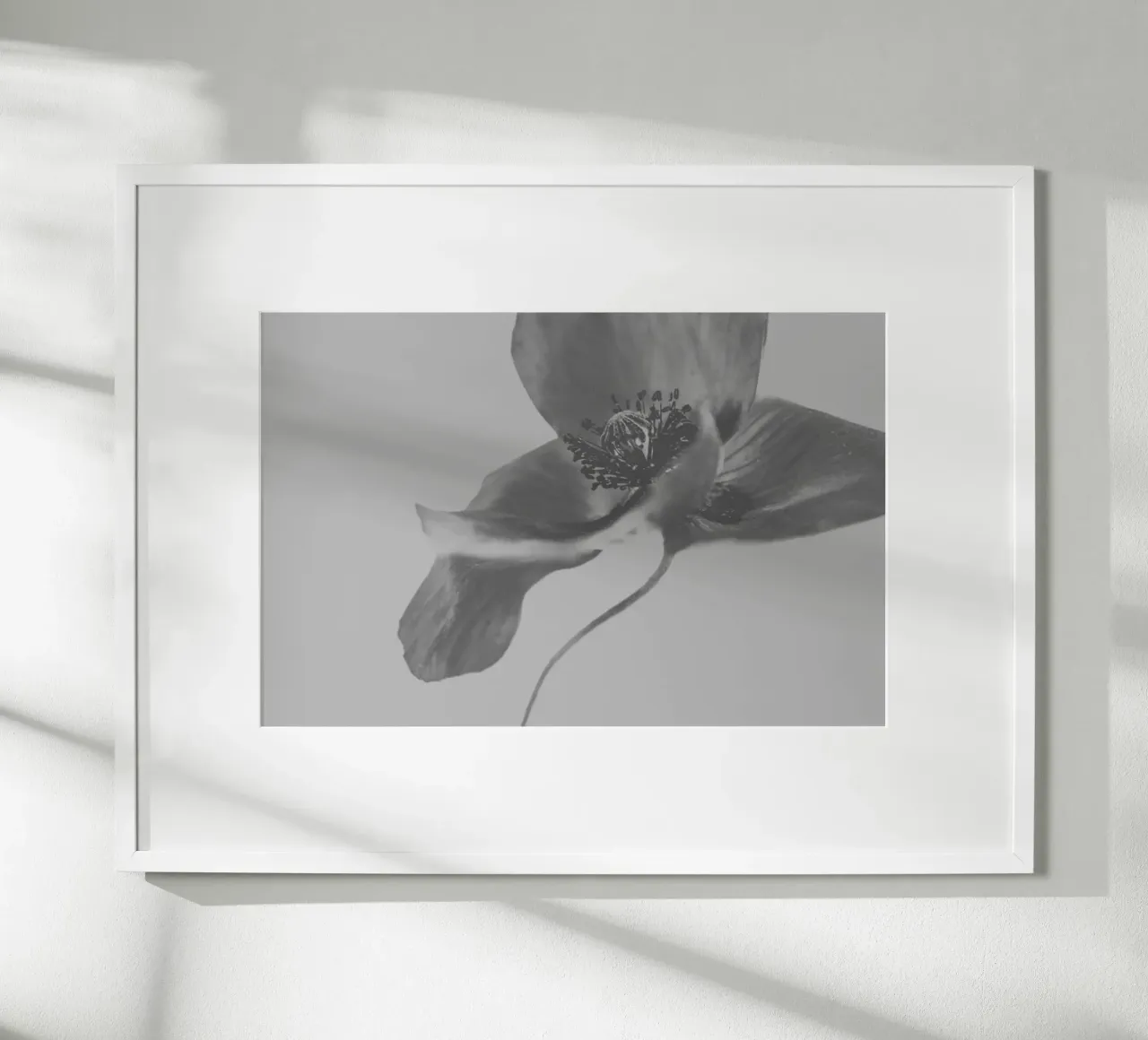 Fiori tenui poster da PhotoVibe Decor