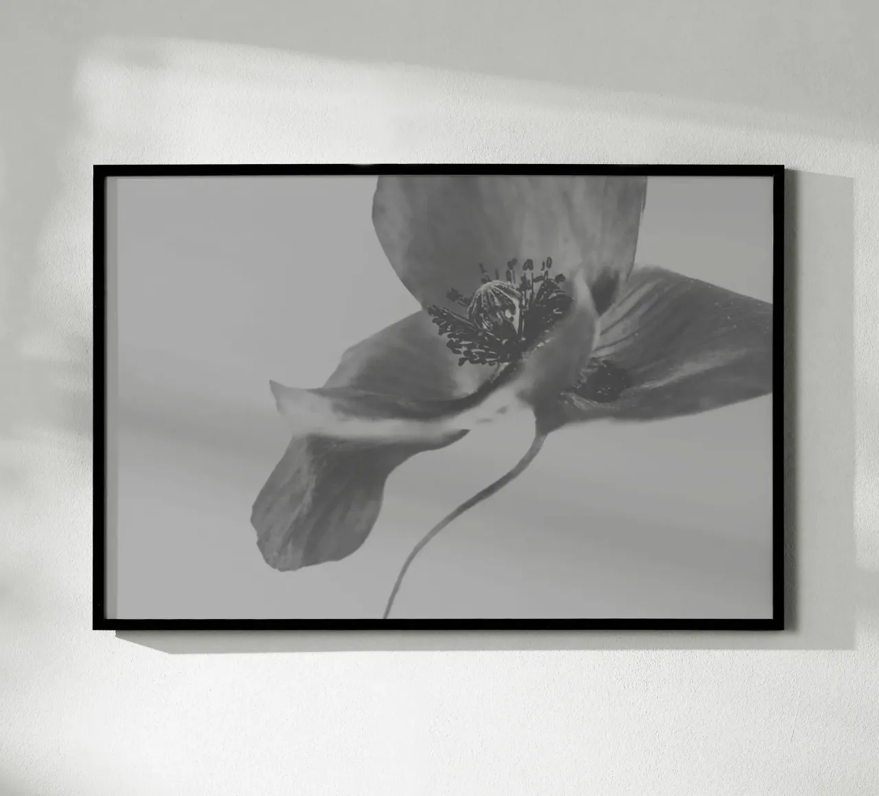 Fiori tenui poster da PhotoVibe Decor