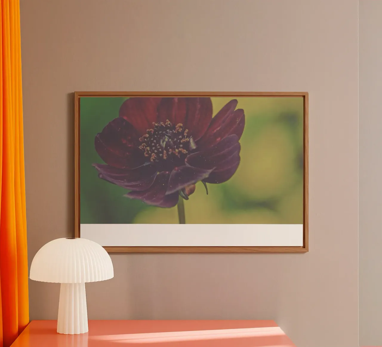 Fiori tenui alluminio dibond da PhotoVibe Decor