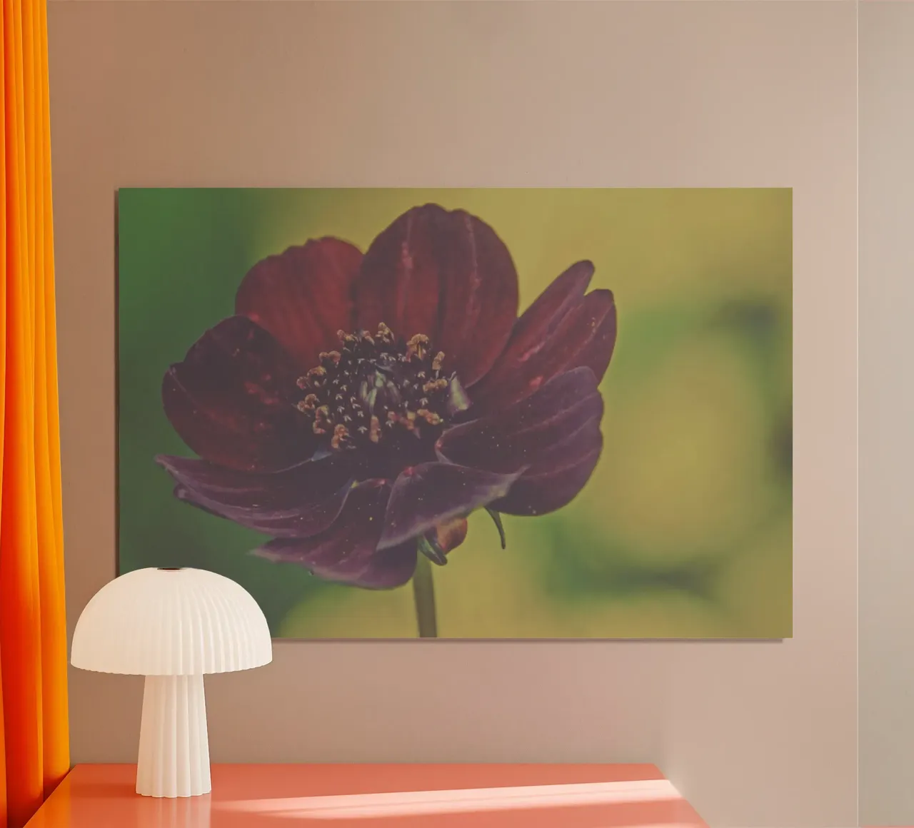 Fiori tenui carta hahnemühle da PhotoVibe Decor