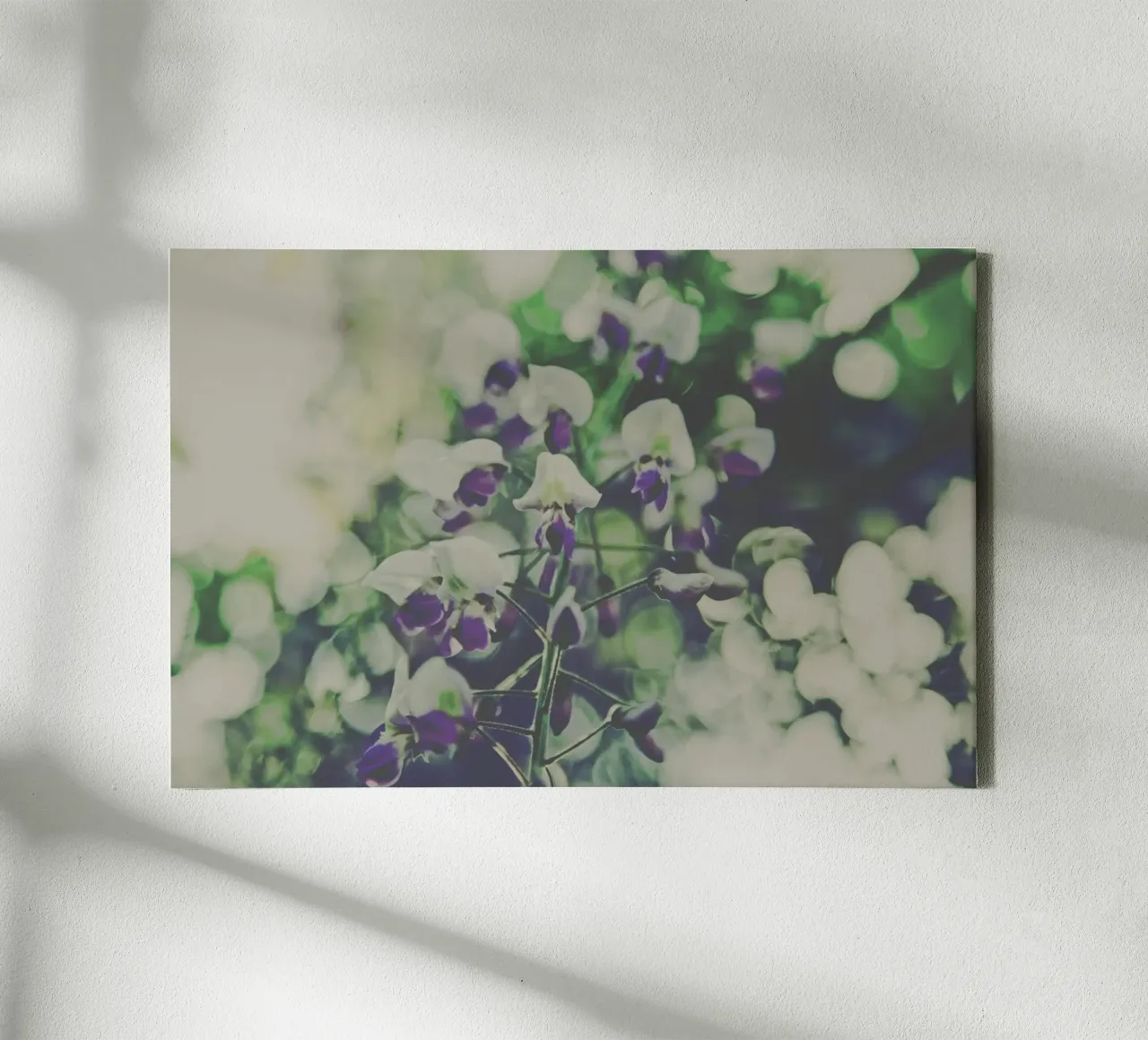 Fiori tenui tela con Cornice a cassetta da PhotoVibe Decor
